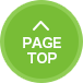 pagetop